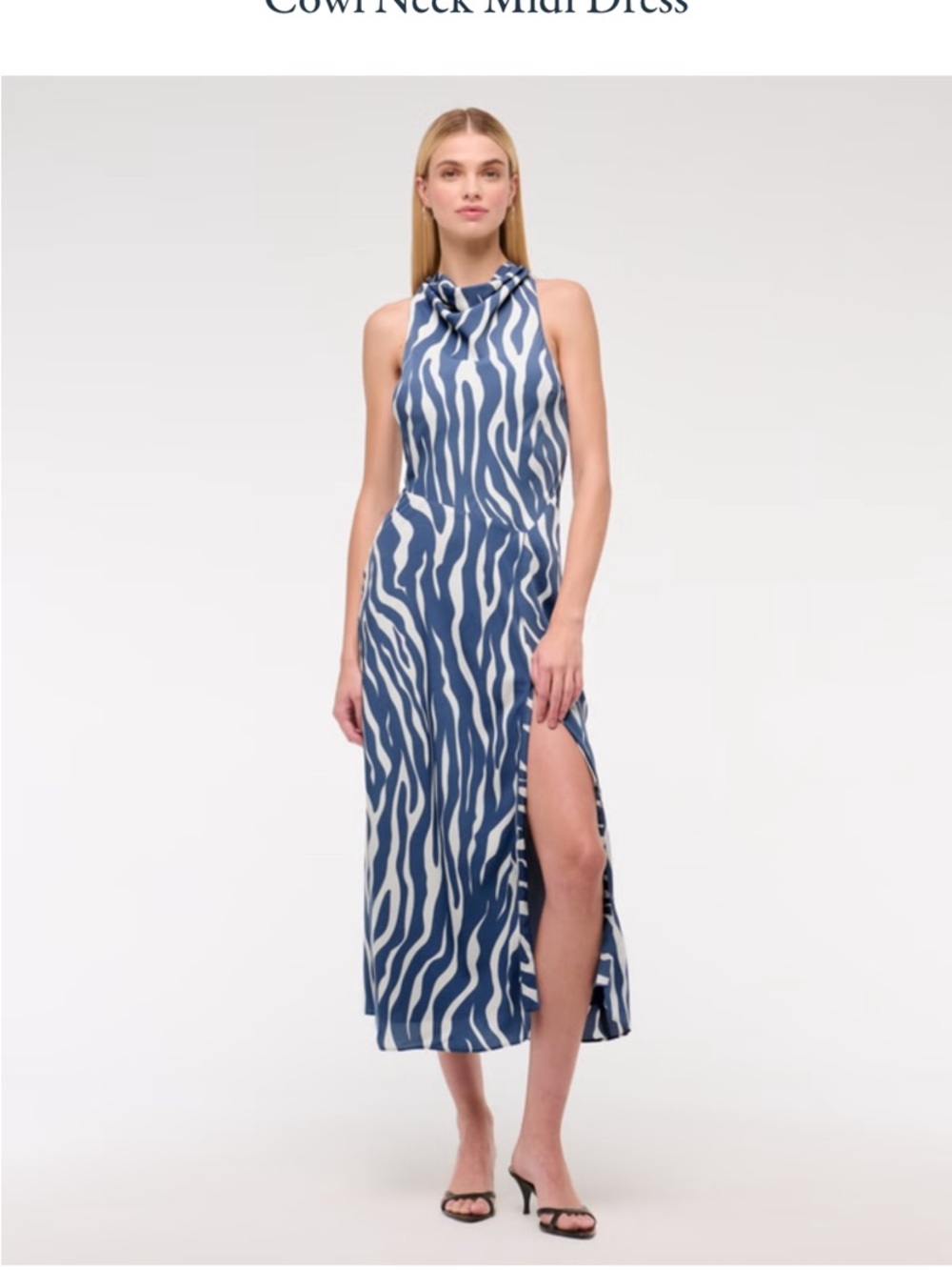 Abercrombie & Fitch Blue and White Zebra-Print Midi Dress